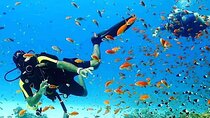 Coral Gardens Snorkeling & Diving Day Trip with Lunch –Marsa Alam