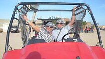 Buggy and Camel Desert Safari with Hotel Transfer – Marsa Alam