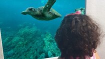 Paphos Yellow Submarine Cruise with Swimming and Drinks