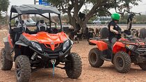 Agadir/Taghazout: Buggy, Goats in Argan Trees & Moroccan Tea