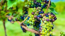 Private Kelowna Sip Tour