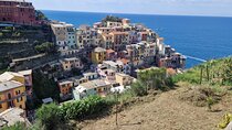  Private Full day, Excursion to 5 Terre and Pisa 