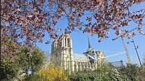 Our Lady of Paris After Restoration