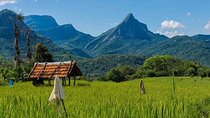 Explore Meemure with Colombo Departure Tour