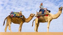 Two hours Camel Riding At Amazing Desert With Transfer - Marsa Alam