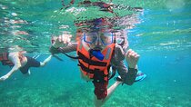 Snorkel at the Reef 2 HOURS Puerto Morelos National park