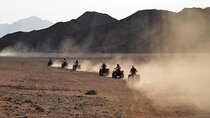 Agadir Quad Safari: Thrilling Rides & Authentic Berber Tea