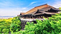Kiyomizu Temple, Fushimi Inari Taisha & Nara Park Day Tour
