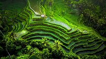 Private Full Day Tour in Enchantment of Ubud