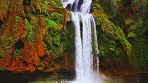 Ouzoud Waterfall Adventure With Boat Ride & Wild Monkeys