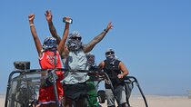 Family Buggy Safari & Camel Ride Adventure W/Transfer– Marsa Alam