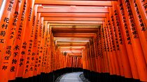 Kyoto Tour in Spanish: Fushimi inari Bamboo forest and Kinkakuji