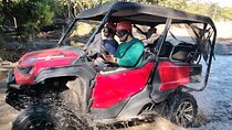 Top Of The World Side X Side UTV Tour