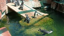 Coastal Tour and Addo Elephant National Park