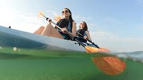 Camp Richardson Kayak and Paddle Board Rental