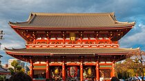 Tokyo: Private Walking Tour with a Local Guide