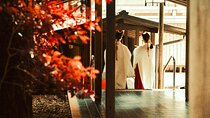 Unlock Tokyo’s Secrets with a Custom Private Tour