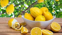 Rome Limoncello Making Class with Pizza and Spritz tasting