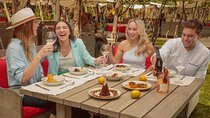 FRANCIS MALLMANN Gourmet Wine Paired Lunch from Mendoza