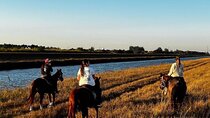 Horseback Riding in Miami