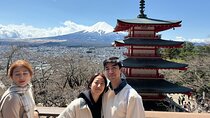 Mt Fuji Private Day Tour from Tokyo with English-Speaking Driver