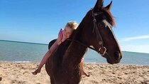 Horse Riding 1 Hour in Nabq Bay beach W/Transfer- Sharm El Sheikh