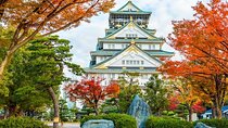 Osaka Castle Admission Ticket