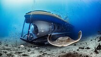 Submarine Tour with Hotel Pickup Tenerife South
