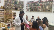 Marrakech Past and Present City Secrets Guided Tour
