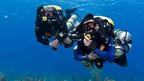 PADI Course Open Water Scuba Diving With Transfer - Marsa Alam