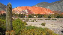 4 Days in Northern Argentina: Optional Train to the Clouds
