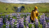 7-Day Small Group Journey Around Iceland