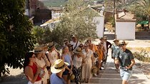 Málaga Small‑Group Wine Tour – Álora Castle Views & 4 Tastings