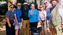 Wine and Widlife Full Day Tour of Stellenbosch Cheetah Outreach