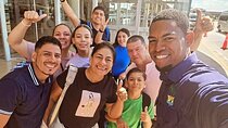 Round-Trip from punta cana airport to bavaro