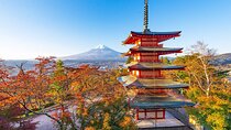 One-day tour to Mount Fuji's popular Attractions From Tokyo