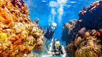 Double Dive Adventure Ras Mohammed & White Island–Sharm El Sheikh