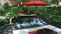 Private adventures into the hidden gems of greater Kyoto