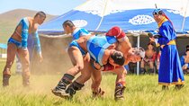 1 Day -Nomad Naadam Experience