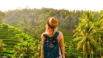 Ubud Tour: Monkey Forest, Rice Terrace, Temple and Waterfall