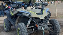 Z Force Buggy Ride Marrakech Palmeraie for Half day