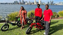Coronado E-Bike Tour from San Diego