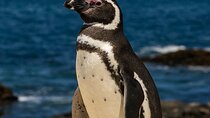 Pacific Ocean Hike Private Tour 7K