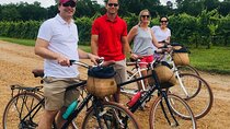 Petite Signature Ride at Upper Shirley Vineyards - 2hrs