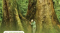 Ha Noi: Full-day Cuc Phuong National Park Eco-adventure