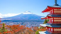 Mount Fuji popular instagrammable sightseeing tour