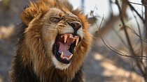 Nairobi National park And Giraffe Center: Free Wi-Fi Connection
