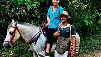 Horseback Riding Tour in Santa Marta and Tayrona Park