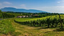 From Verona to Valpolicella: Romance, Villages and Fine Wines