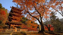 Kamakura and Enoshima Day Tour from Shinjuku